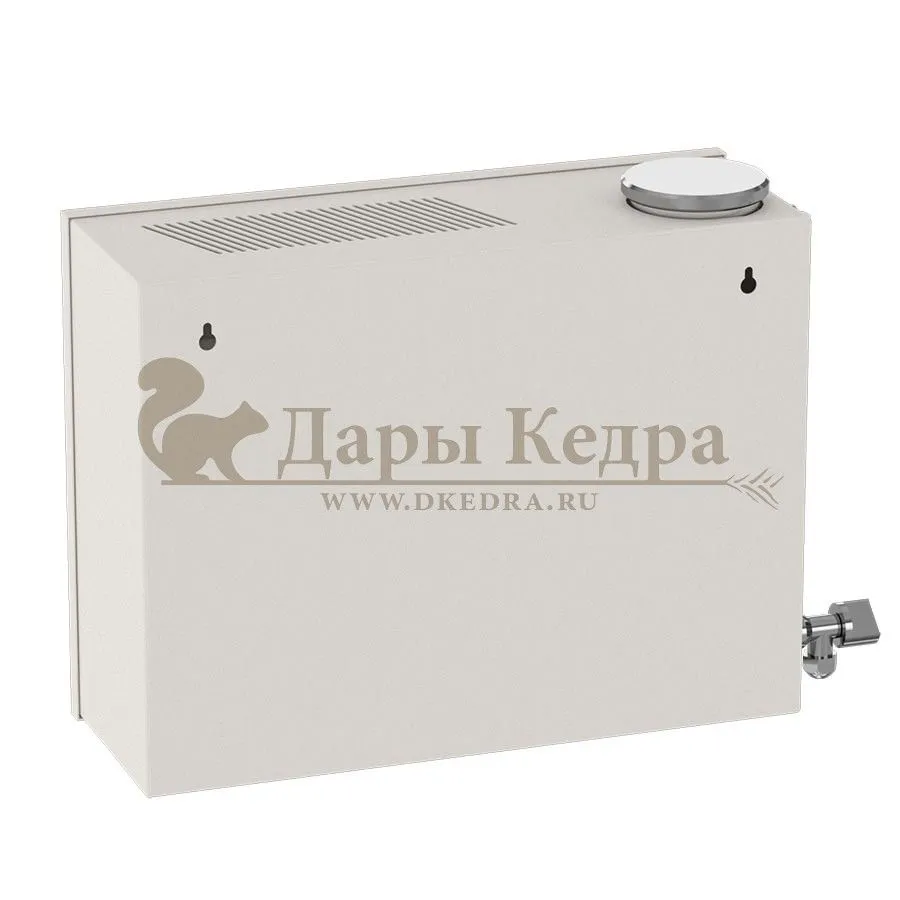 Парогенератор накопительный, 4 кВт с выносным цифровым пультом управления